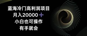 蓝海冷门高利润项目月入2000，小白也可操作有手就会-董叔项目网