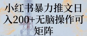 小红书暴力推文日入200+无脑操作可矩阵【揭秘】-董叔项目网