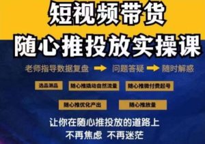 2024好物分享随心推投放实操课,随心推撬动自然流量/微付费起号/优化产出-董叔项目网
