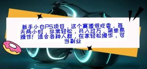 新手小白PS项目，轻轻松松月入过万-董叔项目网