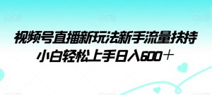 视频号直播新玩法新手流量扶持小白轻松上手日入600＋【揭秘】-董叔项目网