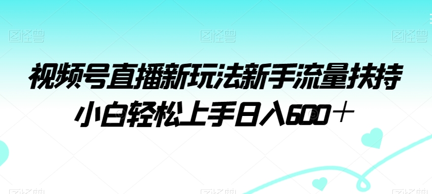 视频号直播新玩法新手流量扶持小白轻松上手日入600＋【揭秘】-董叔项目网