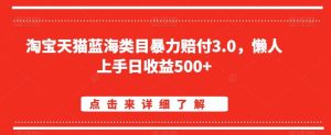 淘宝天猫蓝海类目暴力赔付3.0，懒人上手日收益500+【仅揭秘】-董叔项目网