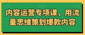 内容运营专项课，用流量思维策划爆款内容-董叔项目网