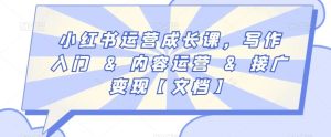 小红书运营成长课，写作入门&内容运营&接广变现【文档】-董叔项目网