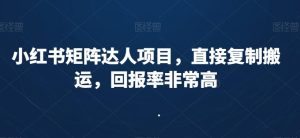 小红书矩阵达人项目，直接复制搬运，回报率非常高-董叔项目网