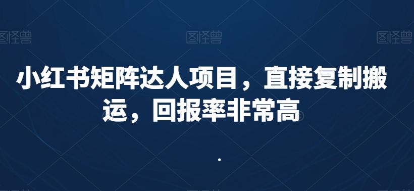 小红书矩阵达人项目，直接复制搬运，回报率非常高-董叔项目网