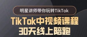 TikTok中视频课程30天线上陪跑，明星讲师带你玩转TikTok-董叔项目网