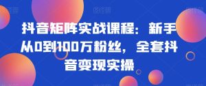 抖音矩阵实战课程：新手从0到100万粉丝，全套抖音变现实操-董叔项目网