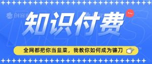 2024最新知识付费项目，小白也能轻松入局，全网都在教你做项目，我教你做镰刀【揭秘】-董叔项目网