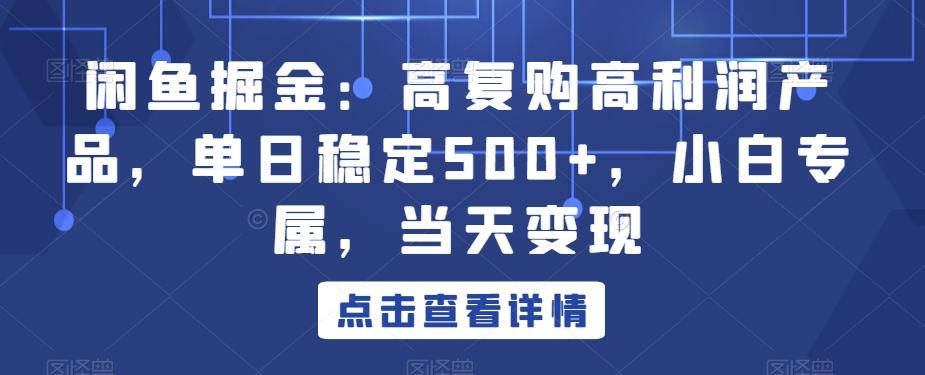 闲鱼掘金：高复购高利润产品，单日稳定500+，小白专属，当天变现-董叔项目网
