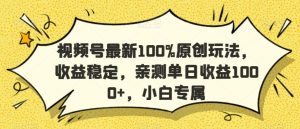 视频号最新100%原创玩法，收益稳定，亲测单日收益1000+，小白专属【揭秘】-董叔项目网