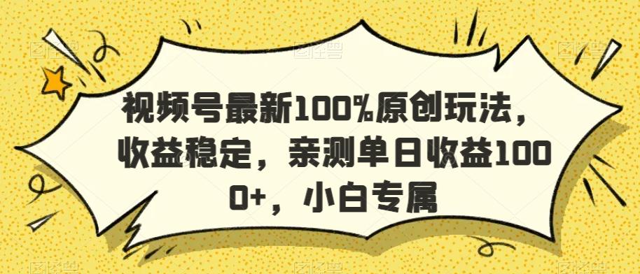 视频号最新100%原创玩法，收益稳定，亲测单日收益1000+，小白专属【揭秘】-董叔项目网