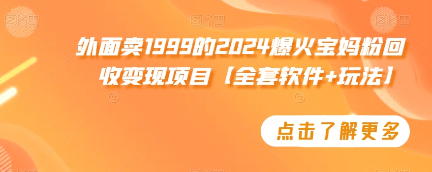 外面卖1999的2024爆火宝妈粉回收变现项目【全套软件+玩法】【揭秘】-董叔项目网