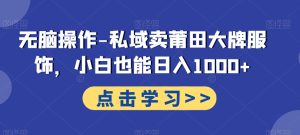 无脑操作-私域卖莆田大牌服饰，小白也能日入1000+-董叔项目网