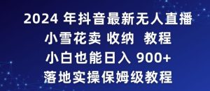 2024年抖音最新无人直播小雪花卖收纳教程，小白也能日入900+落地实操保姆级教程【揭秘】-董叔项目网