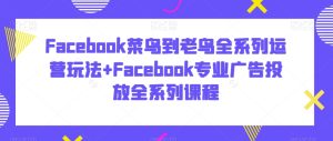 Facebook菜鸟到老鸟全系列运营玩法+Facebook专业广告投放全系列课程-董叔项目网
