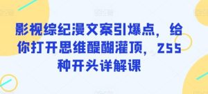 影视综纪漫文案引爆点，给你打开思维醍醐灌顶，255种开头详解课-董叔项目网