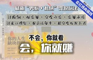 2024,“男粉+私域”还是最耐造、最赚、最轻松、最愉快的变现方式【揭秘】-董叔项目网