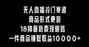 无人直播冷门赛道，商品形式更新，18种变现思路，一件商品赚取收益10000+【揭秘】-董叔项目网