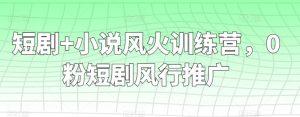 短剧+小说风火训练营，0粉短剧风行推广-董叔项目网