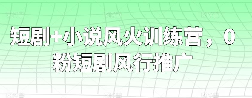 短剧+小说风火训练营，0粉短剧风行推广-董叔项目网