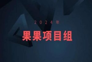 2024年果果项目组项目合集-果果最新项目-董叔项目网