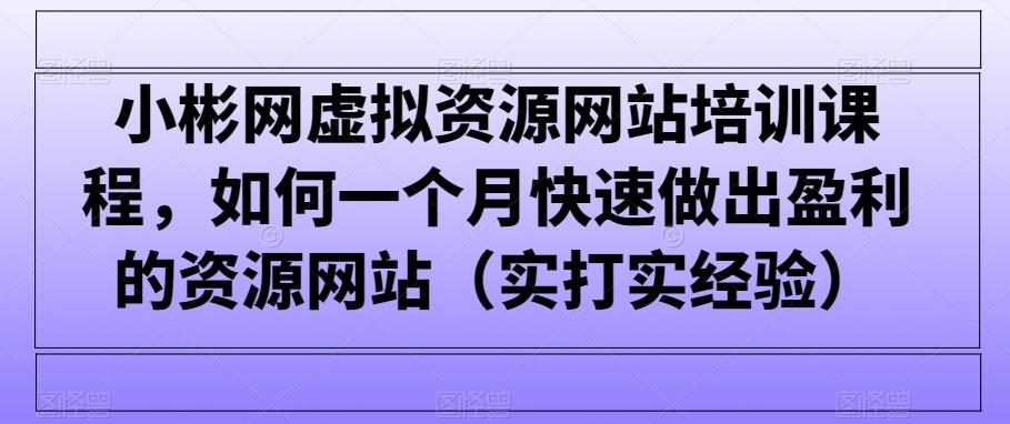 小彬网虚拟资源网站培训课程，如何一个月快速做出盈利的资源网站(实打实经验)-董叔项目网