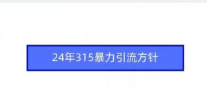 24年315暴力引流方针-董叔项目网