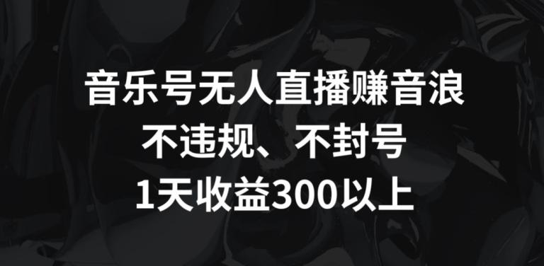 音乐号无人直播赚音浪，不违规、不封号，1天收益300+【揭秘】-董叔项目网