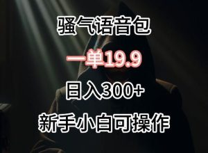 0成本卖骚气语音包，一单19.9.日入300+【揭秘】-董叔项目网