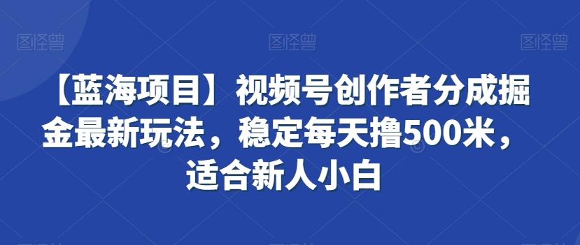 【蓝海项目】视频号创作者分成掘金最新玩法，稳定每天撸500米，适合新人小白【揭秘】-董叔项目网
