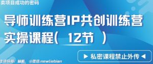 导师训练营3.0IP共创训练营私密实操课程(12节)-卖项目的密码成功秘诀【揭秘】-董叔项目网