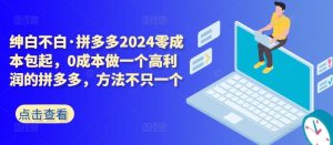拼多多2024零成本包起，0成本做一个高利润的拼多多，方法不只一个-董叔项目网