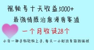 十天收益5000+,多平台捞金,视频号情感治愈漫剪,一个月收徒28个,小白一部手机轻松上手【揭秘】-董叔项目网