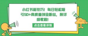 小红书新技巧，每日轻松吸引50+高质量创业粉丝，附详细教程【揭秘】-董叔项目网