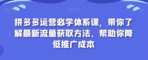 拼多多运营必学体系课，带你了解最新流量获取方法、帮助你降低推广成本-董叔项目网
