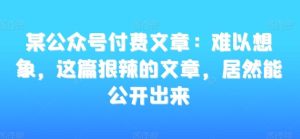 某公众号付费文章:难以想象,这篇狠辣的文章,居然能公开出来-董叔项目网