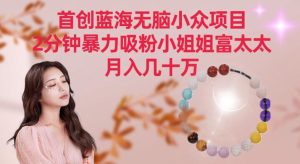 首创蓝海无脑小众项目,2分钟暴力吸粉小姐姐富太太,月入几十万【揭秘】-董叔项目网