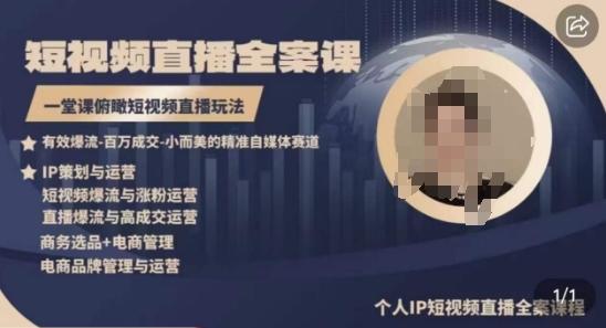 高品质IP短视频直播全案课程，一堂课俯瞰短视频直播玩法-董叔项目网