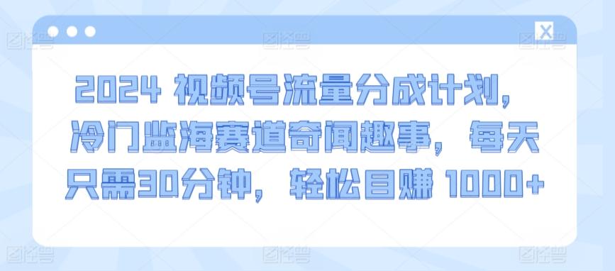 2024视频号流量分成计划，冷门监海赛道奇闻趣事，每天只需30分钟，轻松目赚 1000+【揭秘】-董叔项目网