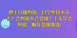 博主口播剪辑，自学坚持不下去？会剪辑不会变现？十天学会剪辑，疯狂变现收钱!-董叔项目网