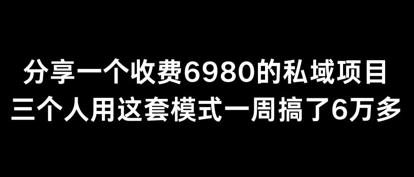 分享一个外面卖6980的私域项目三个人用这套模式一周搞了6万多【揭秘】-董叔项目网