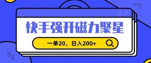 信息差赚钱项目,快手强开磁力聚星,一单20,日入200+【揭秘】-董叔项目网