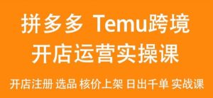 2024Temu最新玩法，Temu跨境开店运营实操课，开店注册/选品/核价上架/日出千单实战课-董叔项目网