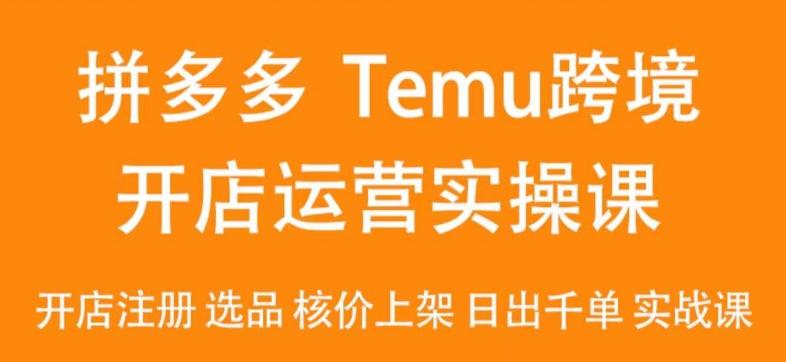 2024Temu最新玩法，Temu跨境开店运营实操课，开店注册/选品/核价上架/日出千单实战课-董叔项目网