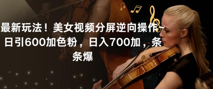 最新玩法！美女视频分屏逆向操作~日引600加色粉，日入700加，条条爆【揭秘】-董叔项目网