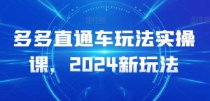 多多直通车玩法实操课，2024新玩法-董叔项目网