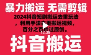 2024最新抖音搬运技术，抖音短剧视频去重，手法搬运，利用工具去重，达到秒过原创的效果【揭秘】-董叔项目网