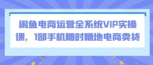 闲鱼电商运营全系统VIP实操课，1部手机随时随地电商卖货-董叔项目网